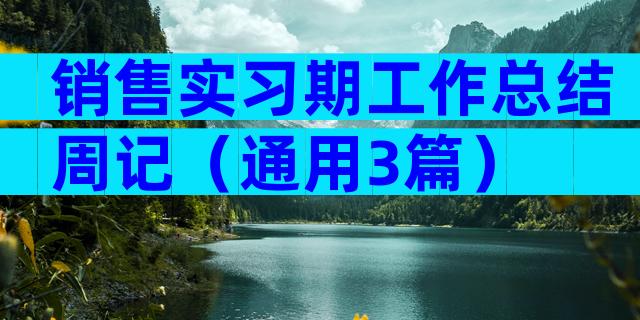 销售实习期工作总结周记（通用3篇）