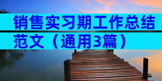 销售实习期工作总结范文（通用3篇）