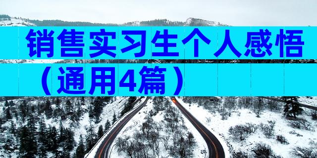 销售实习生个人感悟（通用4篇）