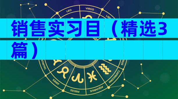 销售实习目（精选3篇）