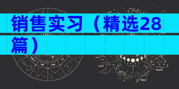 销售实习（精选28篇）