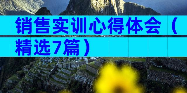 销售实训心得体会（精选7篇）