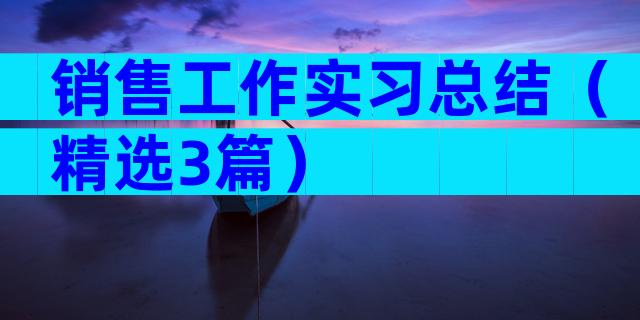 销售工作实习总结（精选3篇）