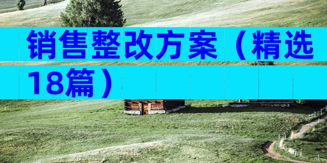销售整改方案（精选18篇）