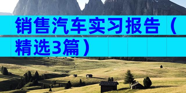 销售汽车实习报告（精选3篇）