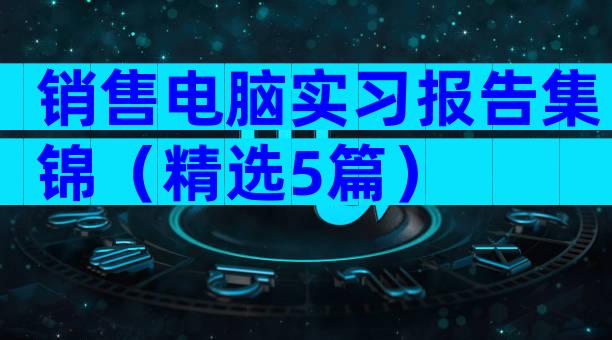 销售电脑实习报告集锦（精选5篇）