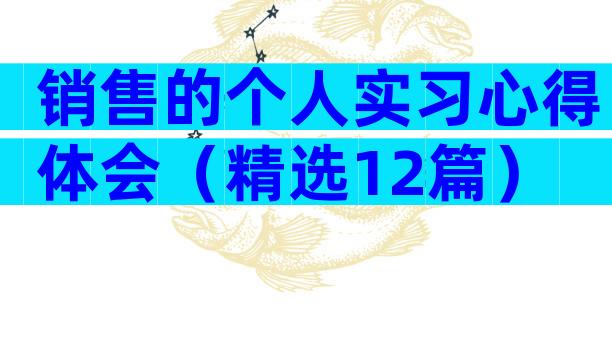 销售的个人实习心得体会（精选12篇）