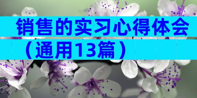 销售的实习心得体会（通用13篇）