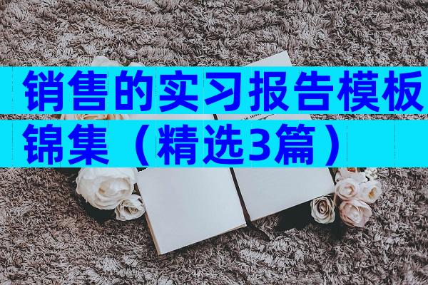 销售的实习报告模板锦集（精选3篇）