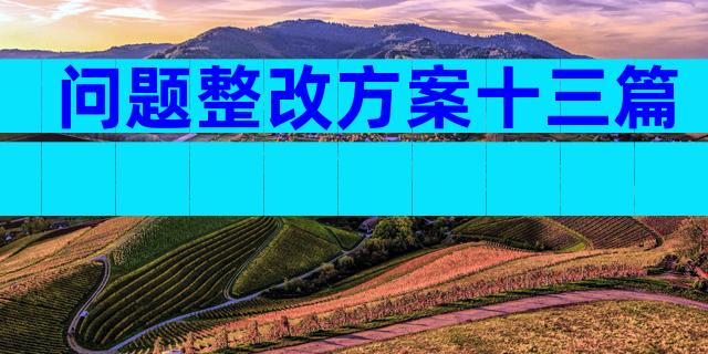 问题整改方案十三篇