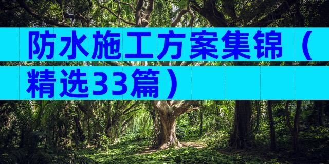 防水施工方案集锦（精选33篇）