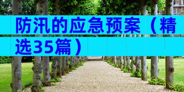 防汛的应急预案（精选35篇）