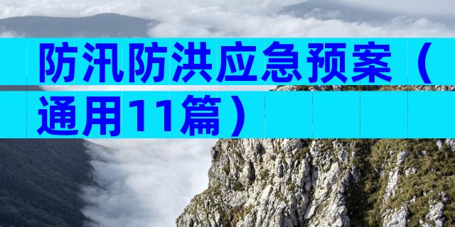 防汛防洪应急预案（通用11篇）