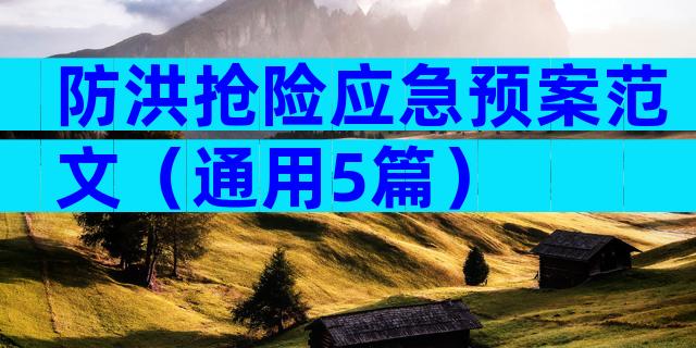 防洪抢险应急预案范文（通用5篇）
