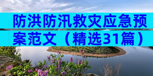 防洪防汛救灾应急预案范文（精选31篇）