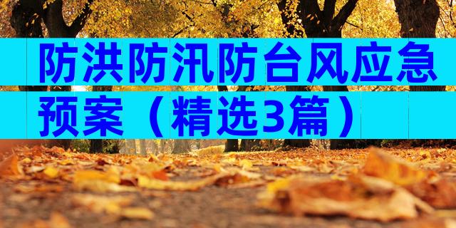 防洪防汛防台风应急预案（精选3篇）