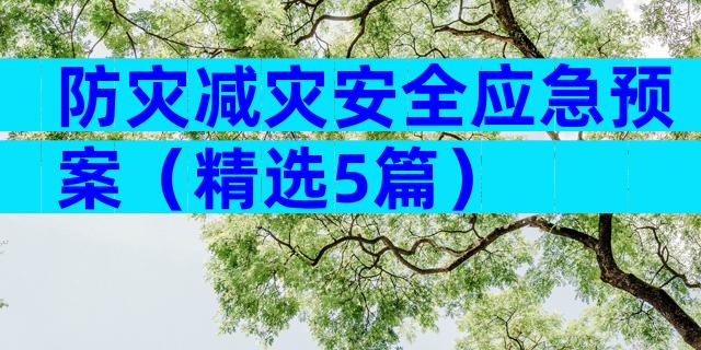 防灾减灾安全应急预案（精选5篇）