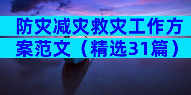 防灾减灾救灾工作方案范文（精选31篇）