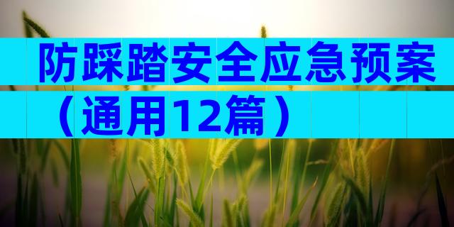 防踩踏安全应急预案（通用12篇）