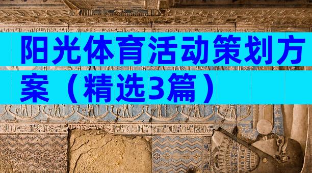 阳光体育活动策划方案（精选3篇）