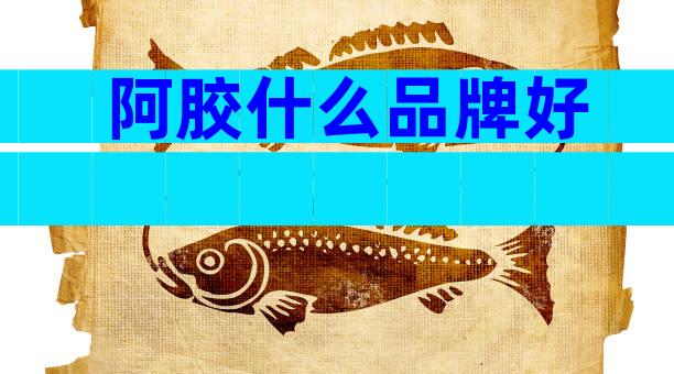 阿胶什么品牌好