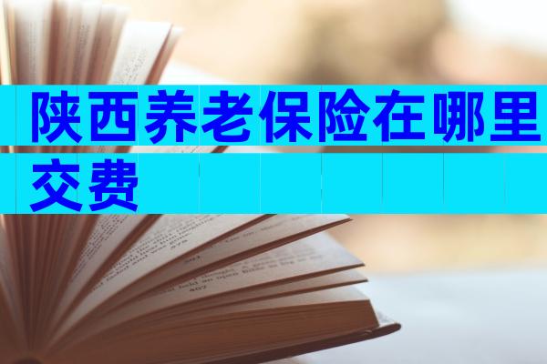 陕西养老保险在哪里交费