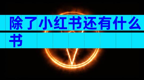 除了小红书还有什么书