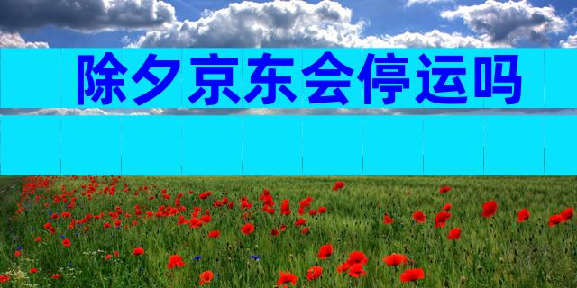 除夕京东会停运吗