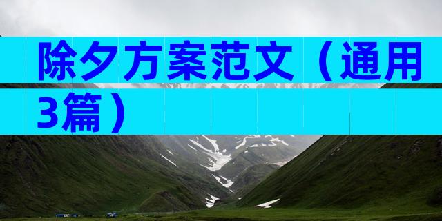除夕方案范文（通用3篇）