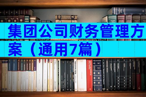 集团公司财务管理方案（通用7篇）