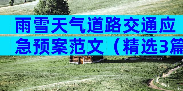 雨雪天气道路交通应急预案范文（精选3篇）