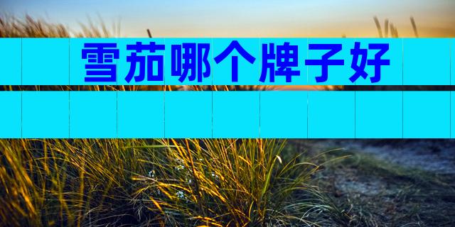 雪茄哪个牌子好