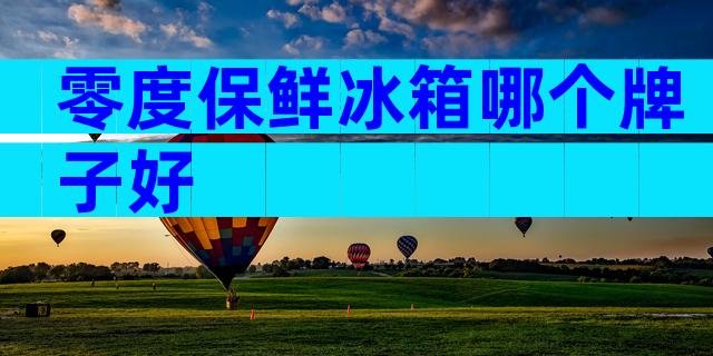 零度保鲜冰箱哪个牌子好