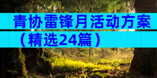 青协雷锋月活动方案（精选24篇）