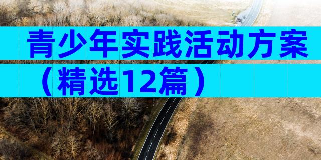 青少年实践活动方案（精选12篇）