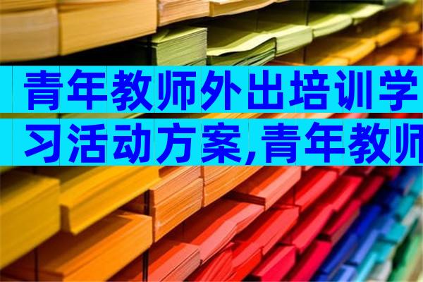 青年教师外出培训学习活动方案,青年教师外出培训学习活动方案（精选3篇）