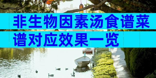 非生物因素汤食谱菜谱对应效果一览