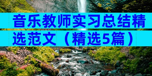 音乐教师实习总结精选范文（精选5篇）