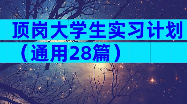 顶岗大学生实习计划（通用28篇）