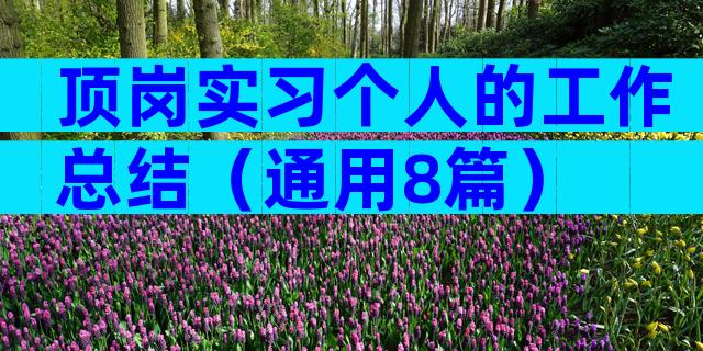 顶岗实习个人的工作总结（通用8篇）