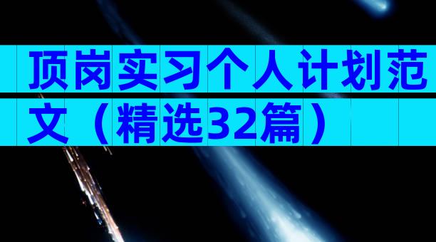 顶岗实习个人计划范文（精选32篇）