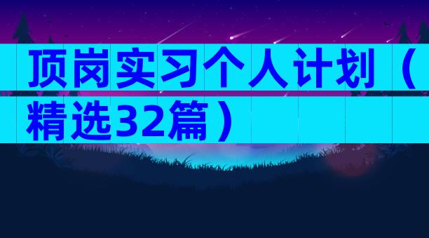 顶岗实习个人计划（精选32篇）