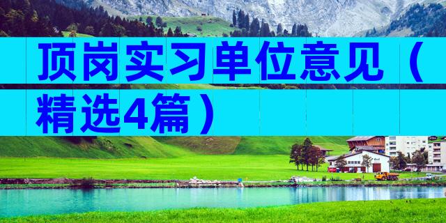 顶岗实习单位意见（精选4篇）