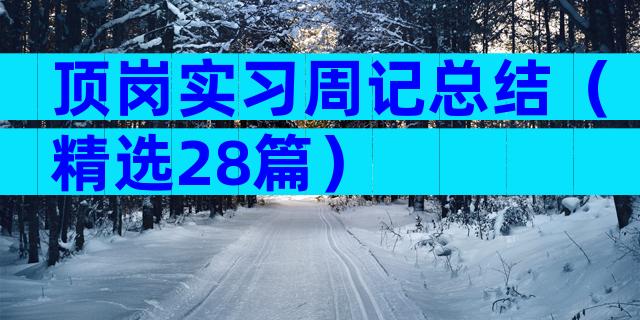 顶岗实习周记总结（精选28篇）