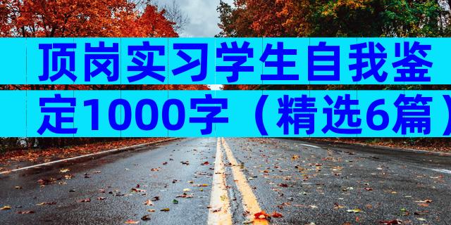 顶岗实习学生自我鉴定1000字（精选6篇）