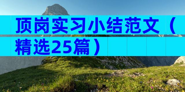 顶岗实习小结范文（精选25篇）