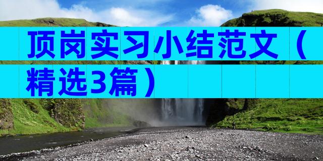 顶岗实习小结范文（精选3篇）