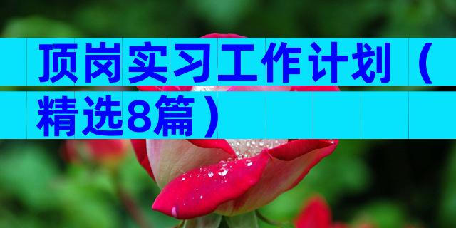 顶岗实习工作计划（精选8篇）