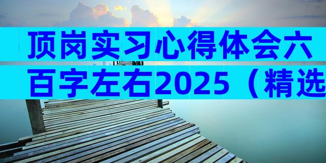顶岗实习心得体会六百字左右2025（精选32篇）