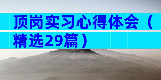 顶岗实习心得体会（精选29篇）